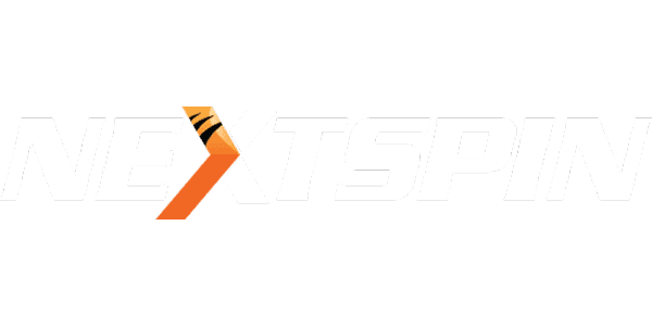 NS গেমিং সলিউশন logo